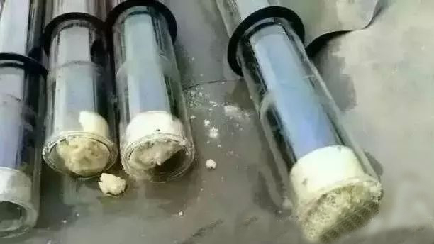 南京頂熱